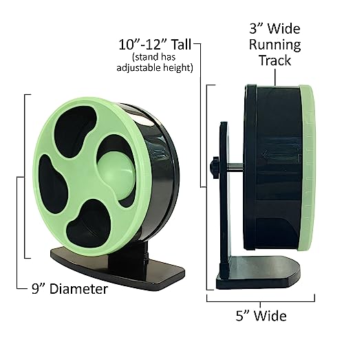Exotic Nutrition - Roda de exercício + suporte + acessório de gaiola (brilha no escuro) para hamster