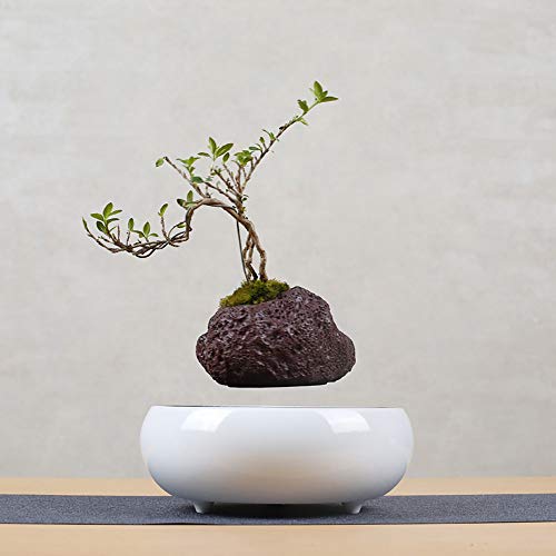 Maceta De Bonsai De Aire De LevitacióN MagnéTica, DecoracióN De Esc