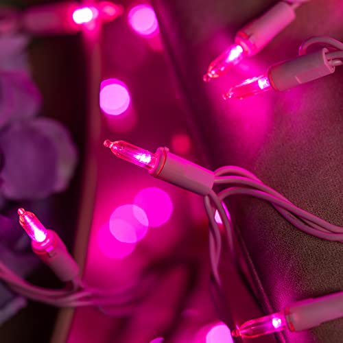 YULETIME 200 Pink LED Christmas Lights, 66 Feet Pink Wire UL Certified Commercial Grade Holiday String Light Set (Pink - Pink Wire) by YULETIME - Image 5