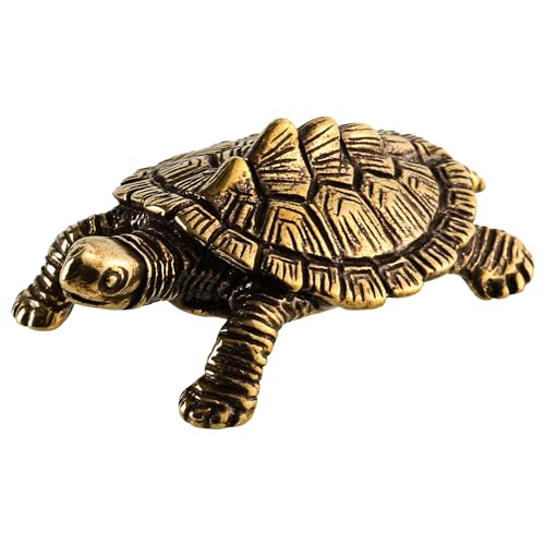 RUNNING HOT Protection de poker - Poids pour poker - Collection de garde de poker 3D - Cadeaux pour homme - Protection de cartes de poker - Accessoires de poker (Tortue d'argent)