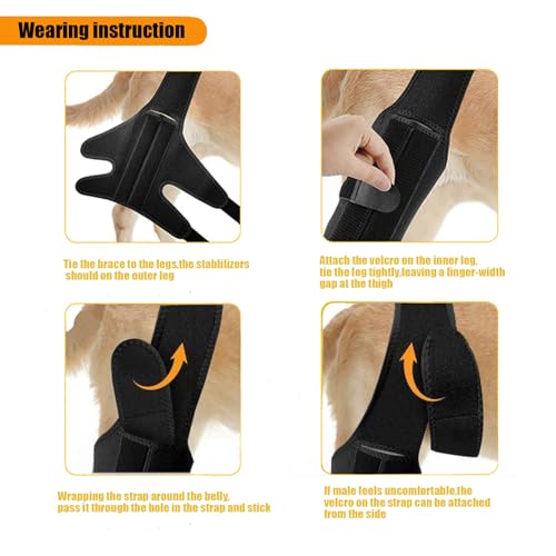 Image of Dog Knee Brace for ACL with Side Stabilizers,Splint Hinged Adjustable Support Brace for Knee Cap Dislocation, Arthritis Keeps Joint,Hip Brace of Different Sizes for Cruciate Ligament Injuries(S)