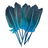 Number of feathers: 12pcs Feather specifications: length: 8-11inch, 22-28cm long Natural pheasant feathers for Crafting: Using in hat and jewelry decoration, DIY Craft, Halloween decoration Natural feather material: All Goose feathers are pure natura...