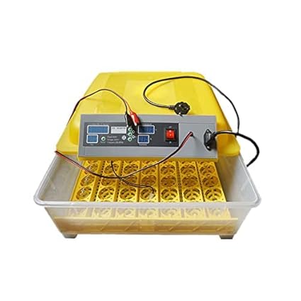 TM&W-(HHD) | Egg Incubator With Humidity Control, 48 Egg Incubator Eggs Portable With Automatic Poultry Hatcher, Easy to Observe Air Incubator