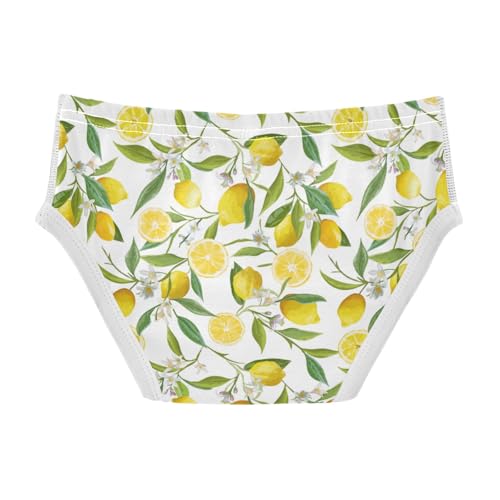 Boys' Exclusive Briefs Toddler Underwear 95% Combed Cotton Boxerbriefs 2T Lemon and Leaf Pattern 52