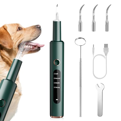 #Commissioniguadagnate<br>Kit di pulizia dei denti per animali domestici Elettrico Ultrasuoni per Animali Domestici Kit di Rimozione Della Placca per Denti per Rimuovere Macchie di Denti per Cani e Gatti Verde