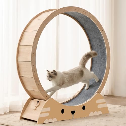 RRPETHOME 48" Cat Wheels for Indoor Cats