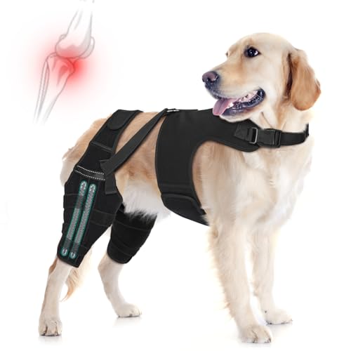 Dog Knee Brace for Torn ACL Hind Legs with Vest, Adjustable Dog Leg Brace with 4 Stabilizers, Hip Support to Reduce Pain, CCL Tear Recovery & Arthritis Ligament Injuries & Luxating Patella (X-Large)