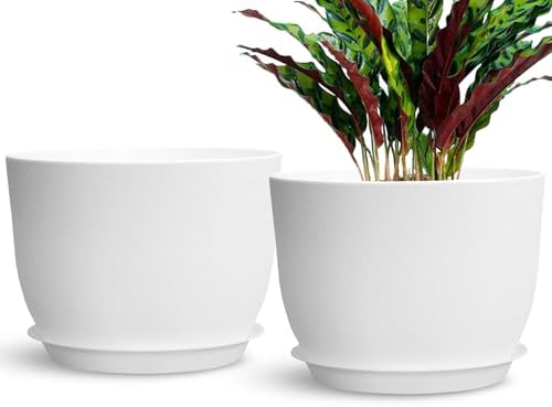 2 sottovasi neri per piante, 16 cm, in plastica, per vasi da fiori, per