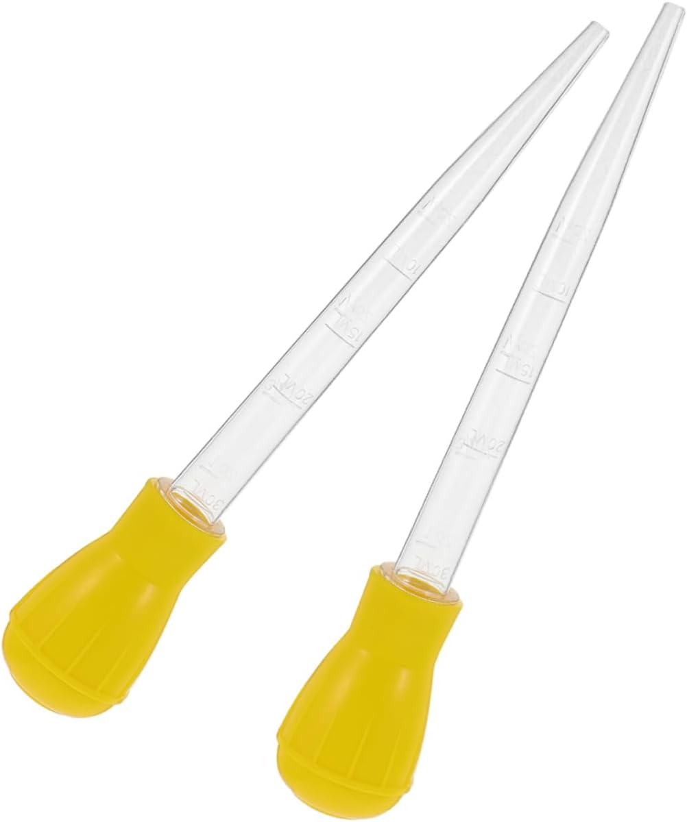 SOLUSTRE 2pcs Grilled Food Baster Seasoning Injector and Oil Applicator for Bbq Cooking Pancakes Efficient Oil Control Tool for Kitchen and Outdoor Use