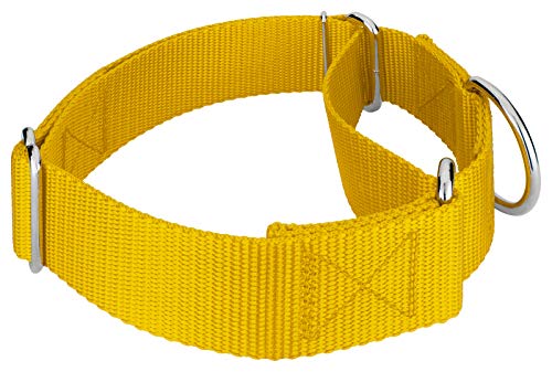 Country Brook Design Heavy Duty Nylon Martingale Dog Collar #TOP8