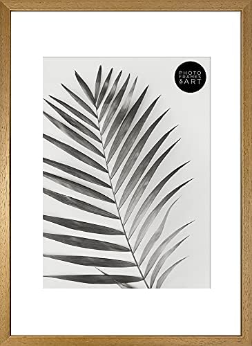 pf+a A2 Winchester Frame - Perspex Window - Wooden A2 Poster Picture Frame/Premium A2 (42x59.4cm) poster frame