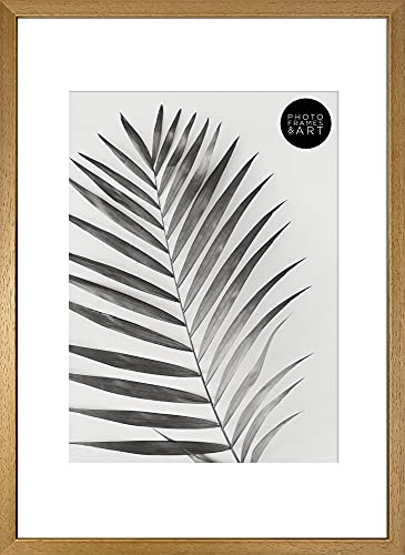 pf+a A3 Wooden Frame With Mount For A4 - REAL GLASS - A3 for A4 Wood Picture Frame