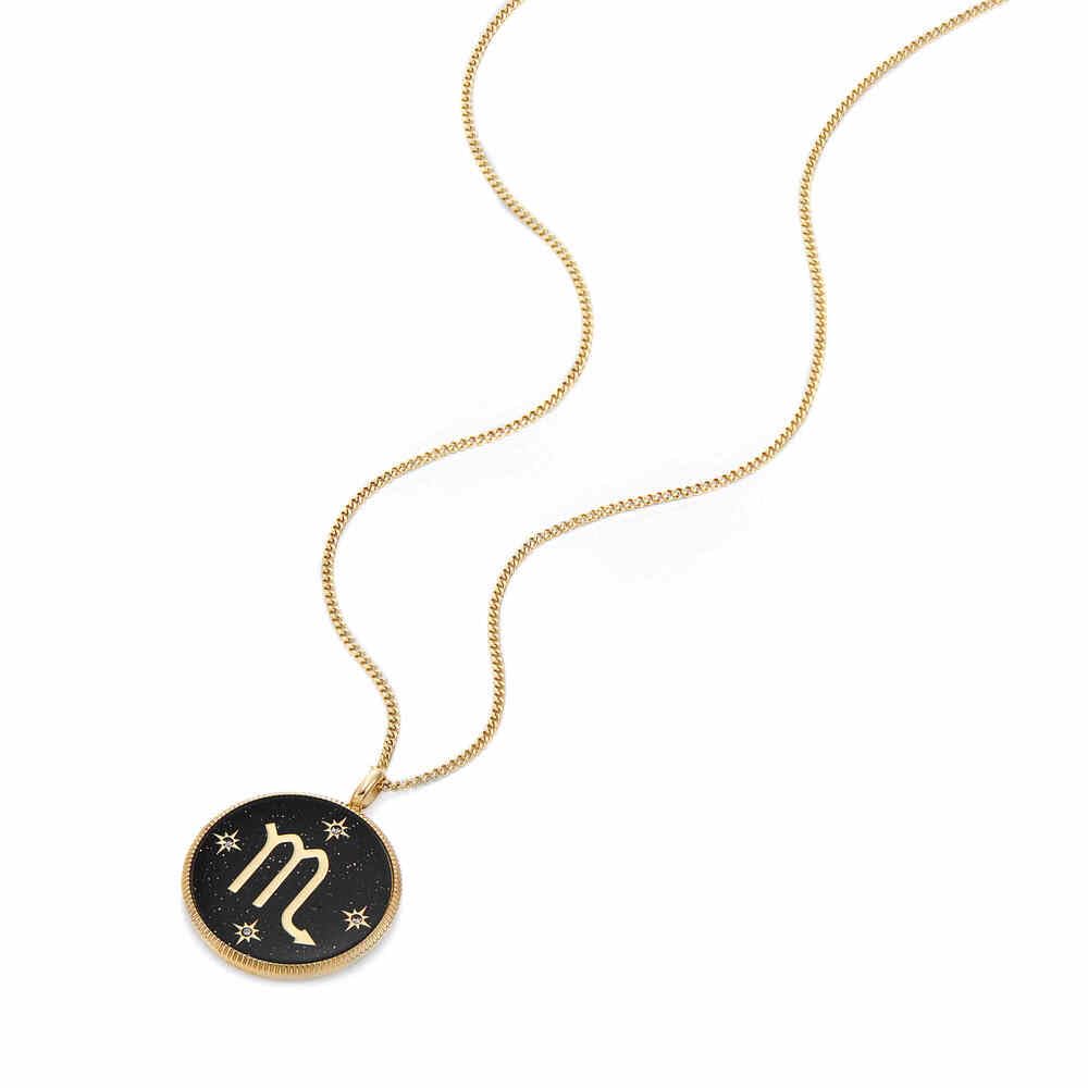 Fossil Collar de acero inoxidable
