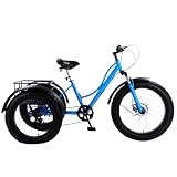 BoluDukNN Triciclos De Ruedas Anchas para Adultos con Cesta,para IR Compras O Hacer Picnics Al Aire Libre. Blue