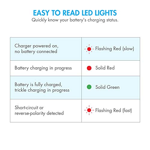 Tenergy Smart Charger For 8.4V-9.6V Nimh Battery Packs, Nimh Battery Charger For Airsoft Guns, Rc Cars, Rc Airplanes With Mini Tamiya/Standard Tamiya Connector #TOP4