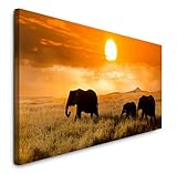 bild sahara Mit Fine Art Prints von Sinus Art bietet sich eine einfache und wunderbare Möglichkeit Ihre Wohnräume zu gestalten. Verschönern Sie Ihr Wohnzimmer, Schlafzimmer, Kinderzimmer, Küche, Flur, Arbeitszimmer oder Büro und gestalten sie sich Ihr persönliches Wohlfühlambiente.