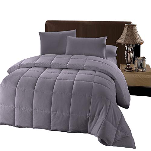 Royal Hotel Plush Down Alternative King Comforter