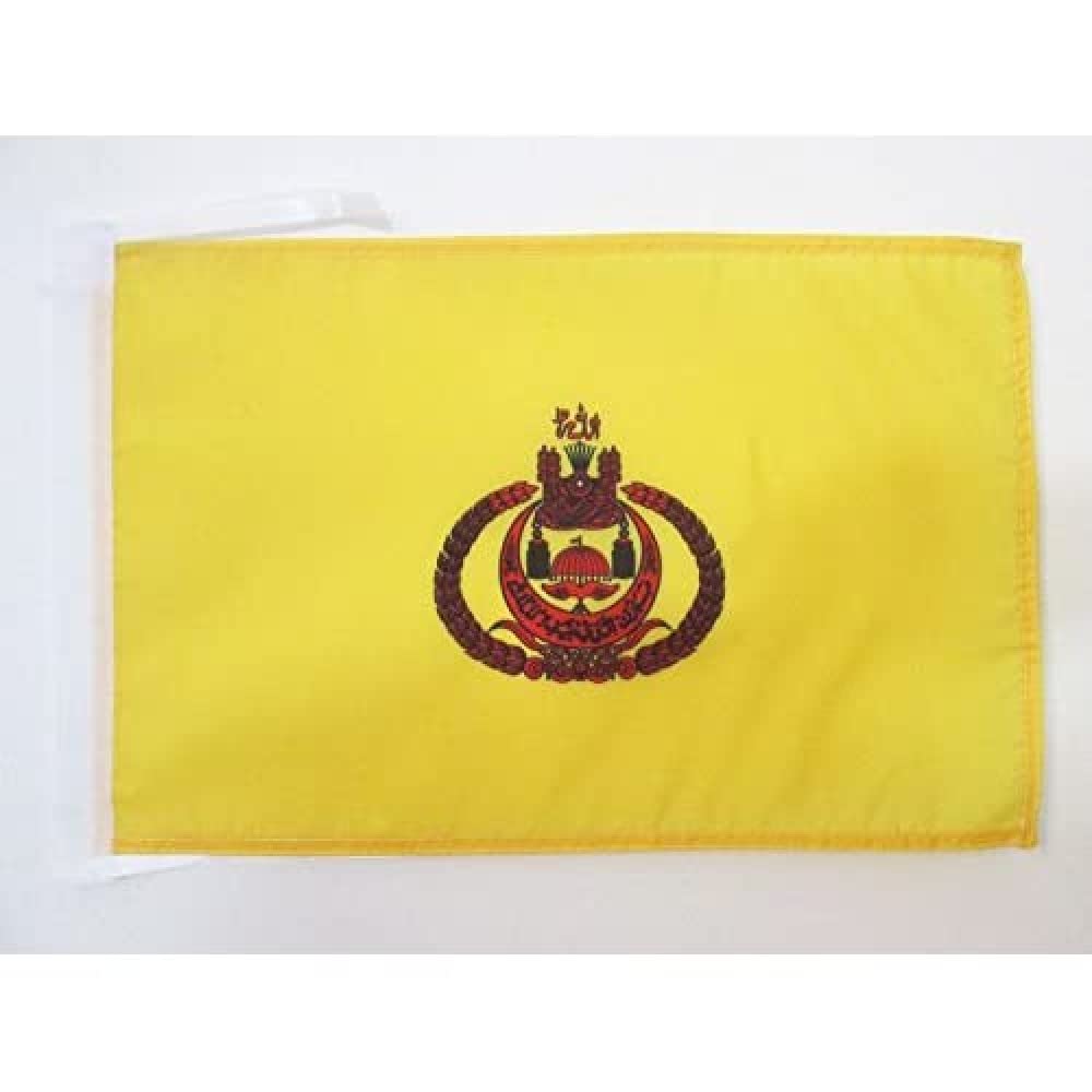 AZ FLAG - Royal Standard of Brunei Flag - 18'' x 12'' - 100% Polyester Bruneian Kingdom Small Banner with Two Cords - Fade Resistant - Vivid Colors - 18x12 in - 45x30 Cm โ image 1