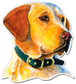 Lab Beautiful - Vinyl Sticker Waterproof Decal
