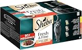 Sheba CATCARE Pouch Wet Fresh & FINE (Meat) Chunks IN Gravy Adult 50G Multipack Standard