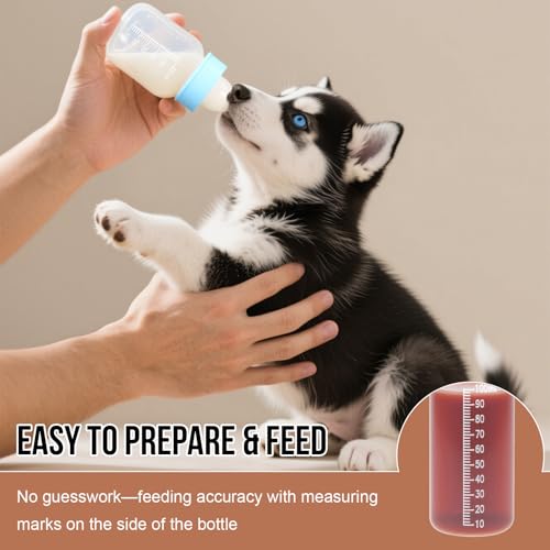 Futtermilchflasche-Set für Welpen, Flaschen zur Kätzchenfütterung, Haustierflasche mit Messskala für die künstliche Aufzucht von Neugeborenen (Blau, 60ML)
