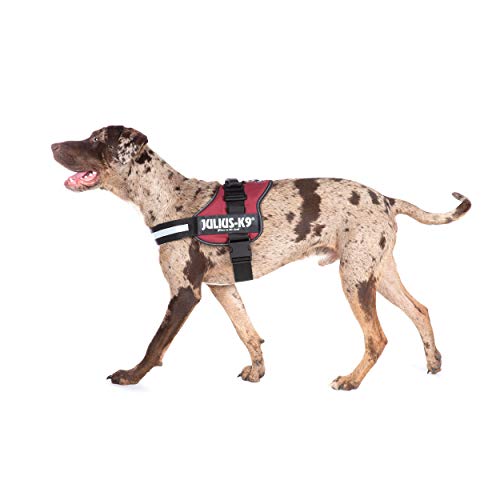 K9 Powergeschirr, Größe: L/1, Bordeaux