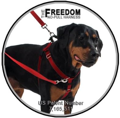 5/8" XSM Kelly Green Freedom No-Pull Harness ONLY- Direct from Inventor