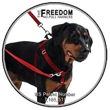 5/8" XSM Kelly Green Freedom No-Pull Harness ONLY- Direct from Inventor