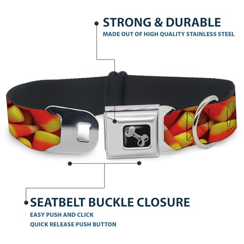 Collier de chien Buckle Down en forme d'os candy corn aux finitions soignées