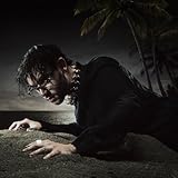 Chris Grey