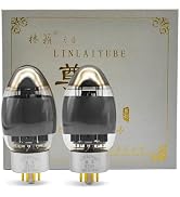 Amazon.com: LINLAI ZX-2A3 1 Pair Matching ZX Series Power Vacuum