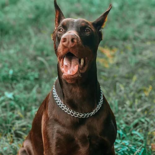 Silver Dog Chain Collar Stainless Steel Silver Dog Collar Adjustable Walking, Metal Cuban Link Dog Collar Chew Proof Double Row Chain Dog Collar For Large Small Medium Dogs #TOP3