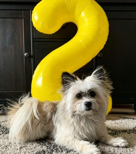 Image of 0 Balloon 40 inch Yellow Number Balloons for 10th Birthday Party Decoration | Saturated Color, Large 40 inch, With Inflation Straw & Hanging Holes, Great for Thanksgiving, Labor Day, Vintage Theme Party