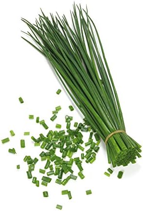 Park Seed Chives Herb Plant Seeds, Easy to Grow, Perfect for Spring Garden, ProEasy Chives, Pack of 1000