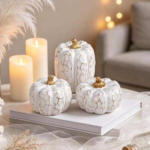 Image of winemana Set of 3 White Pumpkins Fall Decorations for Home | Resin, Textured Neutral Pumpkin, Thanksgiving Centerpiece For Table, Mantel, Porch & Indoor, Farmhouse Autumn Harvest Decor