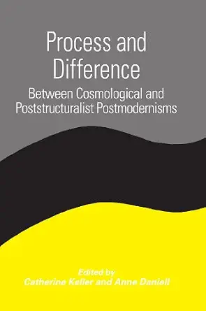 Process and Difference: Between Cosmological and Poststructuralist Postmodernisms (Constructive Postmod Tht (Dis)) F First Paperback Edition Used Edition book cover