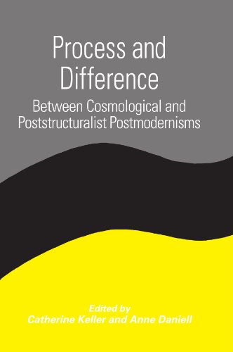 Process and Difference: Between Cosmological and Poststructuralist Postmodernisms (Suny Series in Constructive Postmodern Thought) view 2