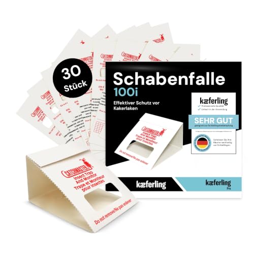Schaben-Klebefalle (Monitoring)