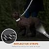 Taglory Rope Dog Leash 4 FT with Comfortable Padded Handle, Highly Reflective Threads Leash and Anti-Tangle Clip for Walking Medium Large Dogs, 1/2 inch, Black #4