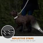 Taglory Rope Dog Leash 6 FT with Comfortable Padded Handle, Highly Reflective Threads Leash and Anti-Tangle Clip for Walking Medium Large Dogs, 1/2 inch, Black - Image 5