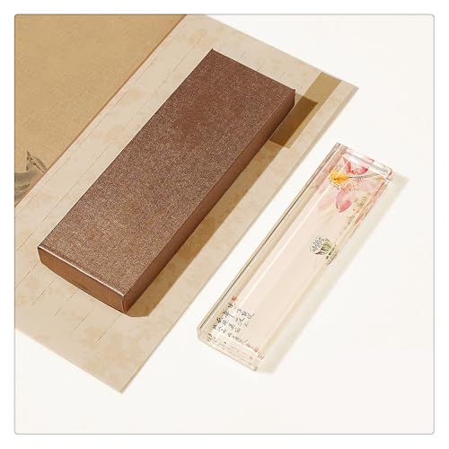   NX^KX   ߗp 20*5cm 2 cm  킢 [ K ~ N J^ObY  fXNgbv   G ItBX fXNgbv  rO IuWF 蕨