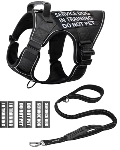 Reflective Service Dog in Training Vest Harness Leash Set for Medium Large Dogs, Adjustable Heavy Duty Black Padded Dog Harness, with Front Clip and Metal Buckles Do Not Pet for Training, Hiking
