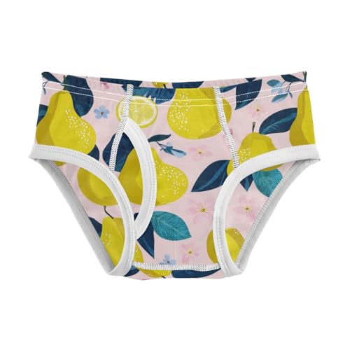 Wusikd Pear Leaf Boys' Underwear Cotton Boys Briefs Soft Toddler Underwear 2T