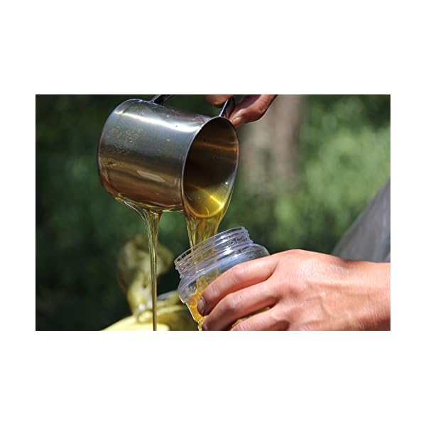 Propolis-Tinktur /-LÃ¶sung (20%) von ImkerPur 2x50ml (gesamt 100 ml), in medizinischem Alkohol, PremiumqualitÃ¤t – Bild 6