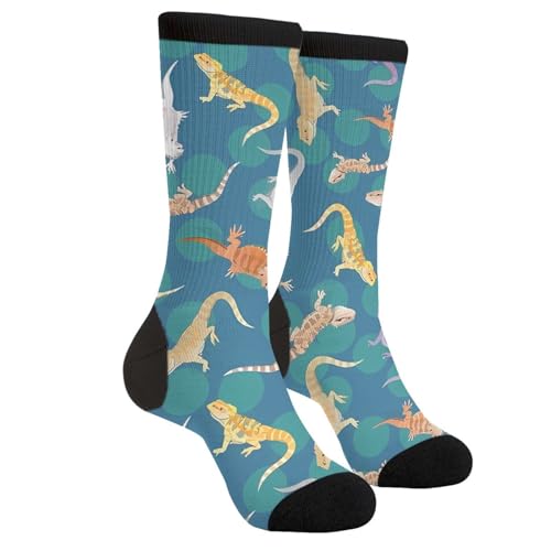 Sigouyinei Bearded Dragon Dragons Reptile Lizard Lover Teal Casual Funny Funky Novelty Socks Gift For Men Women