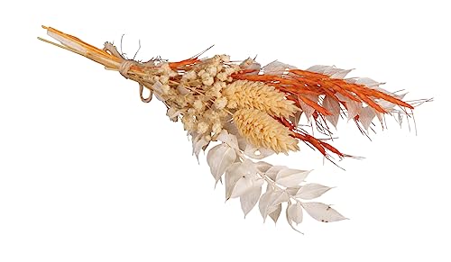 Rayher Trockenblumen-Strauß, orange/natur Töne, Mini-Strauß...
