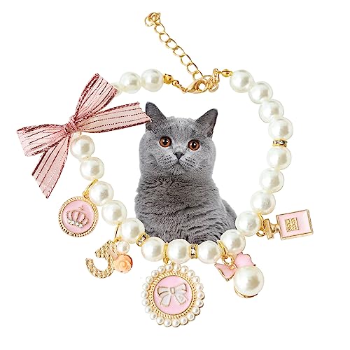 YEZILUU t@bV ybg lbNX L  L p[  LeB q x lbNX 킢 p[\iCY ybg Mtg LD (SAsN)