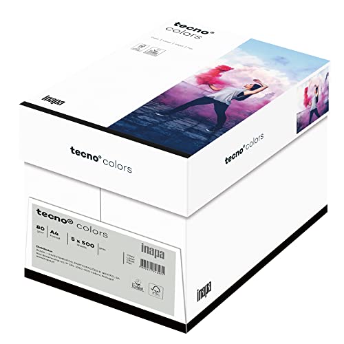 inapa farbiges Kopierpapier, buntes Papier tecno Colors: 80 g/m², A4, 2.500 Blatt (5x500), grau, 80g / m²