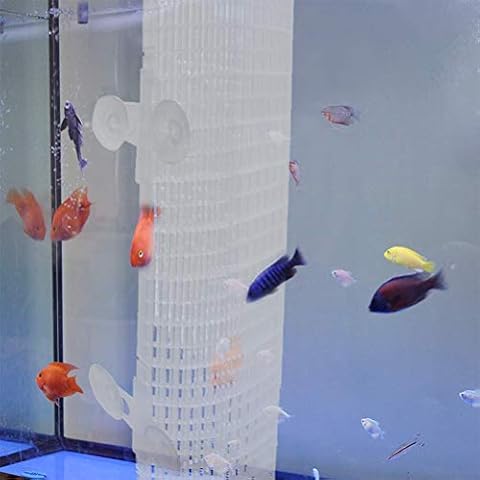 25Piezas Separador de Rejilla para Acuario Cover