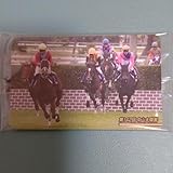 まねき馬 第142回中山大障害 シングンマイケル